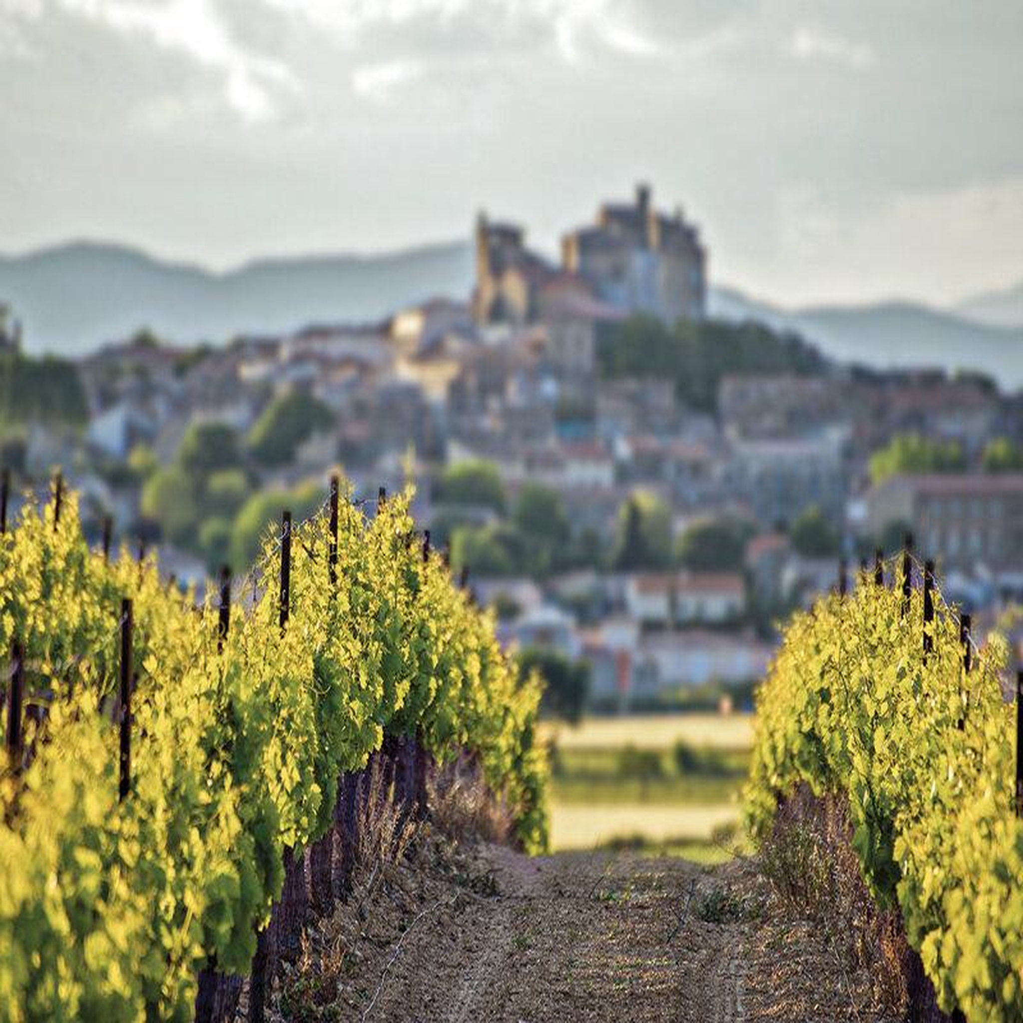Voir la diapositive 5 : Smartbox Voyage autour du vin - coffret cadeau séjour