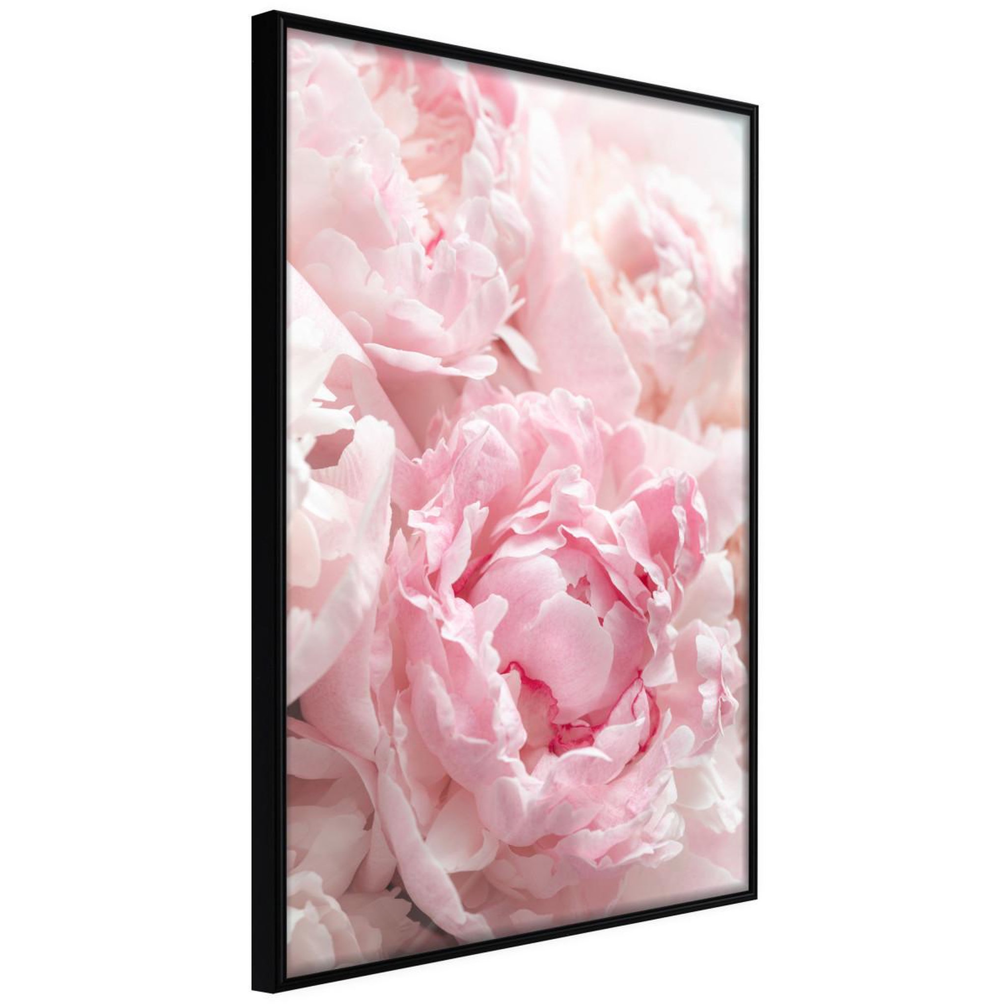 Paris Prix Affiche Murale Encadrée  Abundance of Flowers