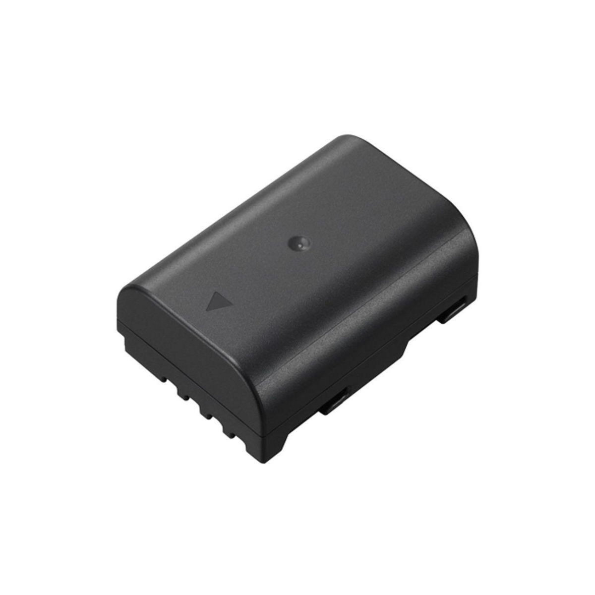 PANASONIC Batterie appareil photo DMW-BLF19E pour GH3-GH4-GH5