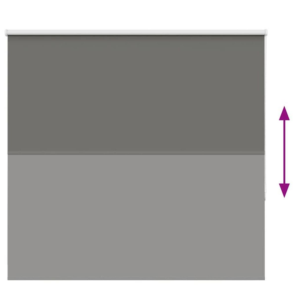 VIDAXL Store enrouleur occultant largeur du tissu 161,6 cm polyester