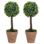 Voir la diapositive 1 : VIDAXL Plantes de buis artificiel 2 pcs avec pots Boule Vert 33 cm