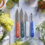 Voir la diapositive 2 : Opinel Couteau Coffret les essentiels Primo