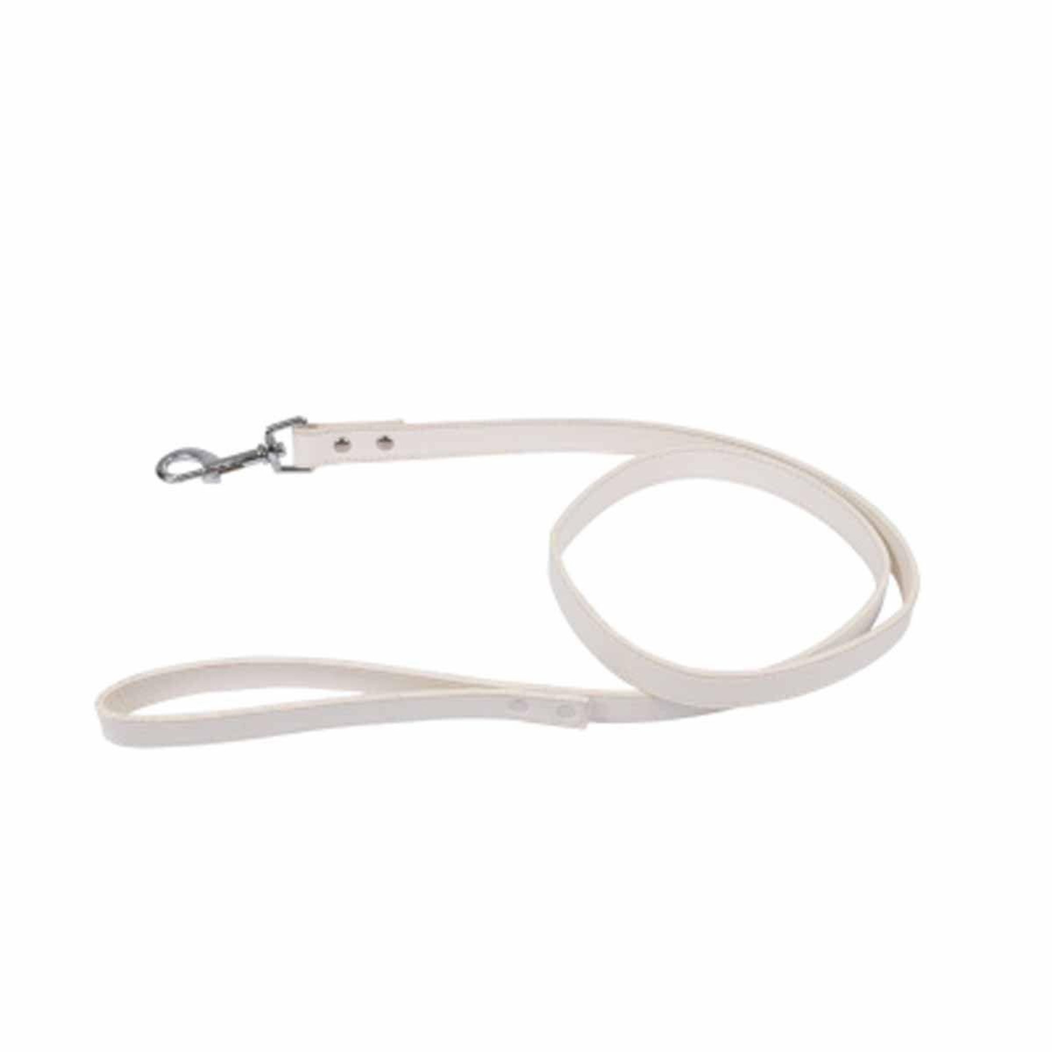 HOMEA Laisse pour Chien  Élégante  120cm Blanc