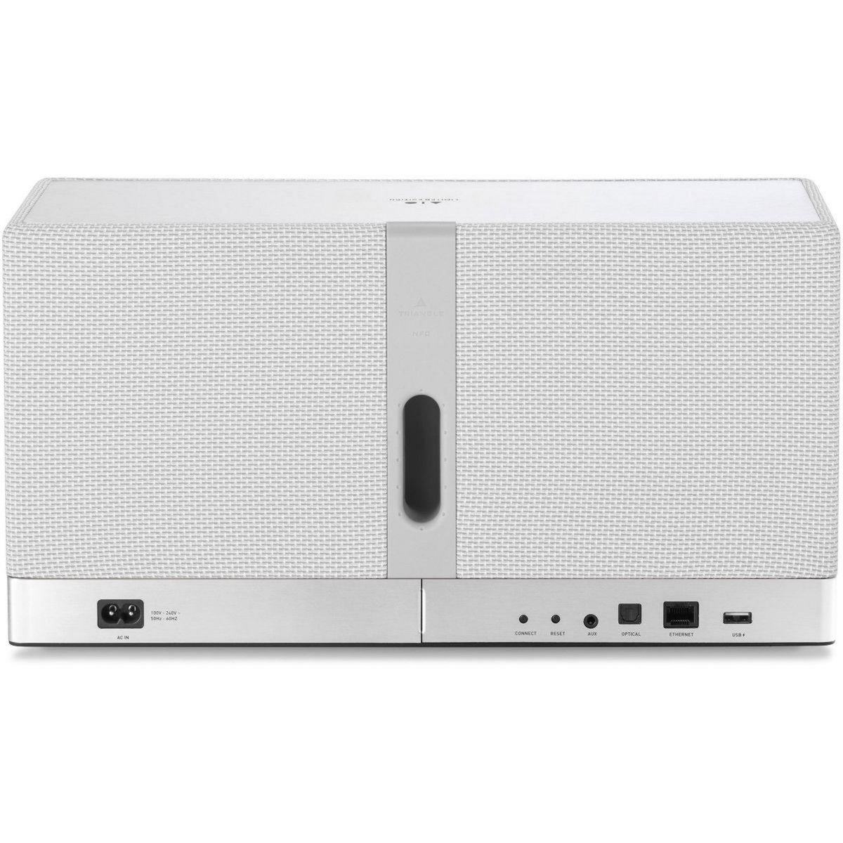 Triangle Enceinte résidentielle AIO 3 Blanc givré