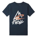 O'NEILL T Shirt  Garçon O'Neill Torrey. Coloris disponibles : Bleu