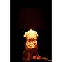 Voir la diapositive 4 : Paris Prix Lampe à Poser Déco  Chien Assis  52cm Or