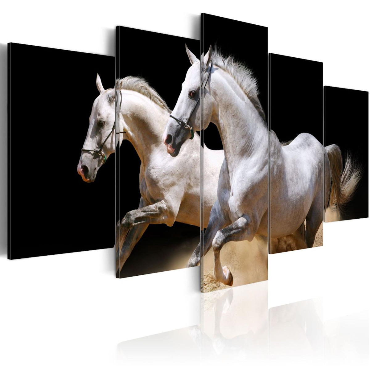 Paris Prix Tableau Imprimé  Galop Liberté & énergie