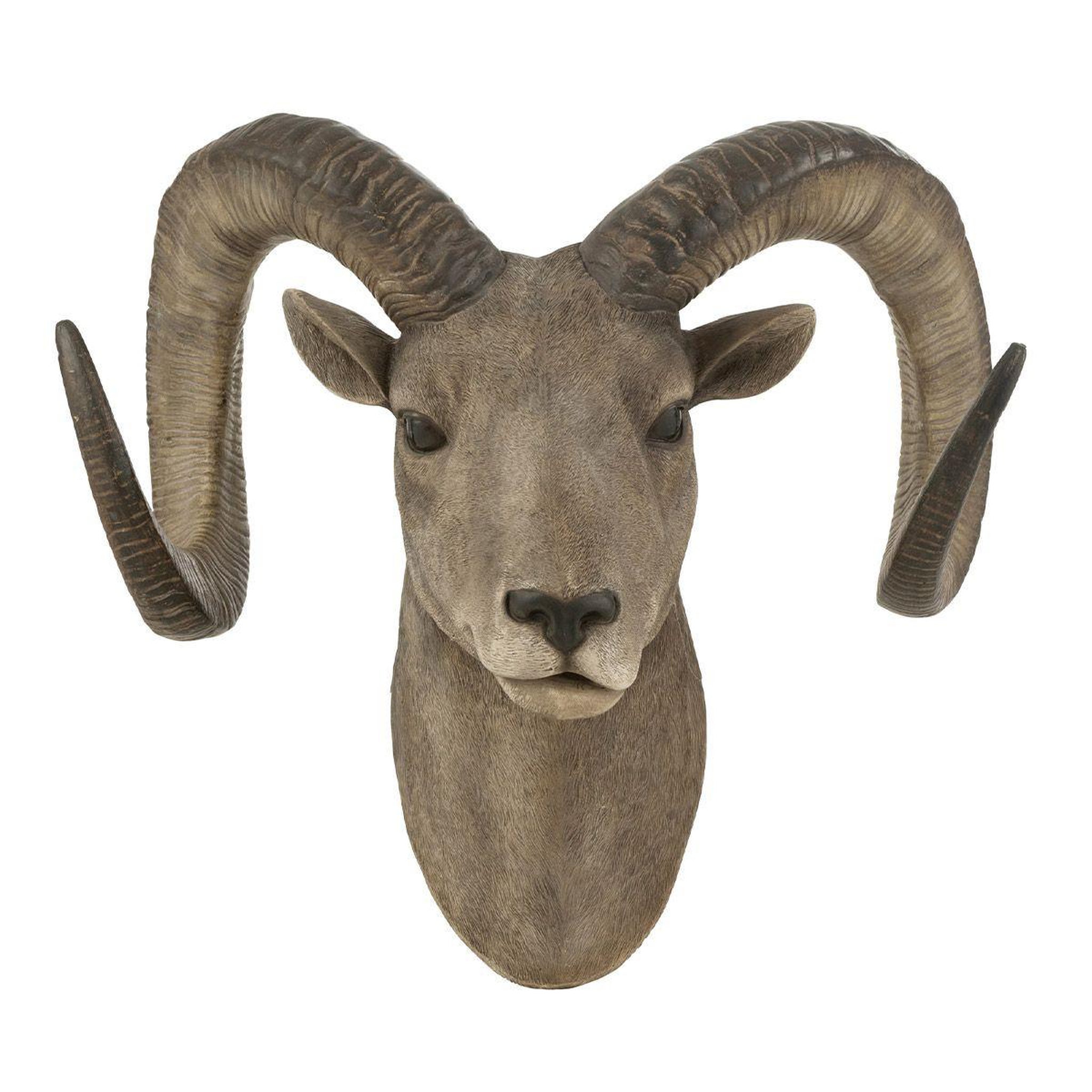 Voir la diapositive 1 : J-LINE Trophée Mural  Tête de Chèvre  48cm Gris & Marron