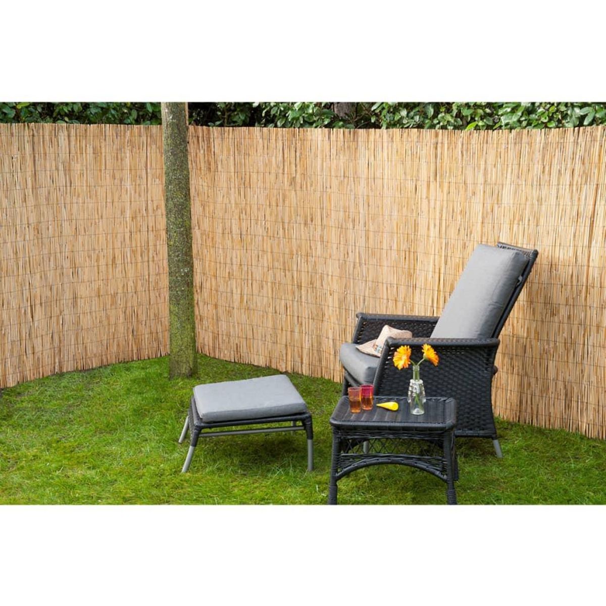 NATURE Nature 2 pcs Ecrans de jardin Roseau de bambou 500 x 100 cm