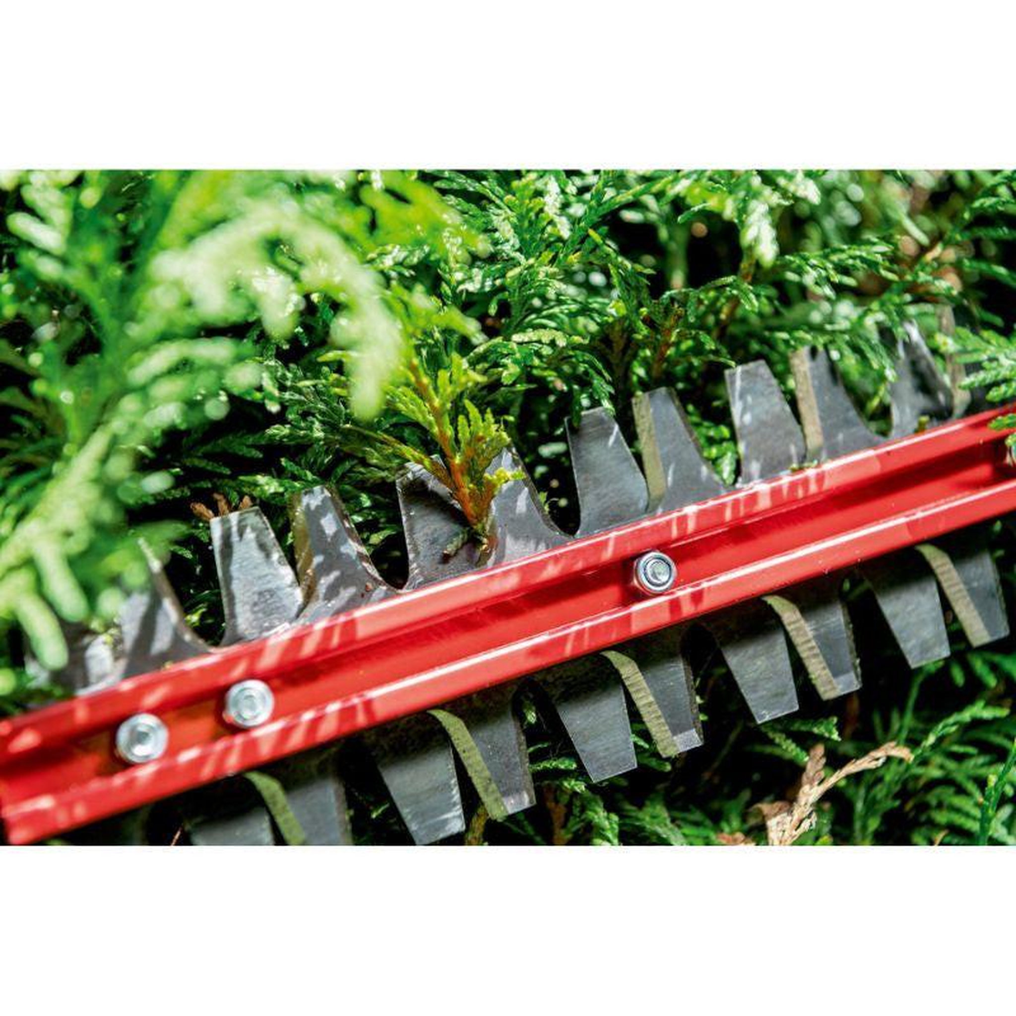 Voir la diapositive 2 : METABO SAS Taille-haies 18 V HS 18 LTX BL 55 (sans batterie ni chargeur)