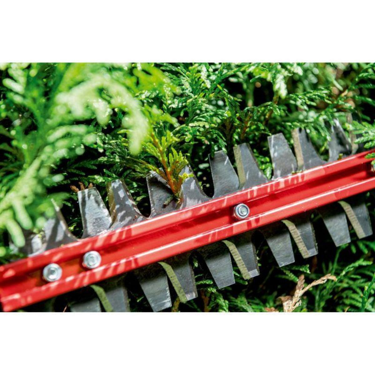 METABO SAS Taille-haies 18 V HS 18 LTX BL 55 (sans batterie ni chargeur)