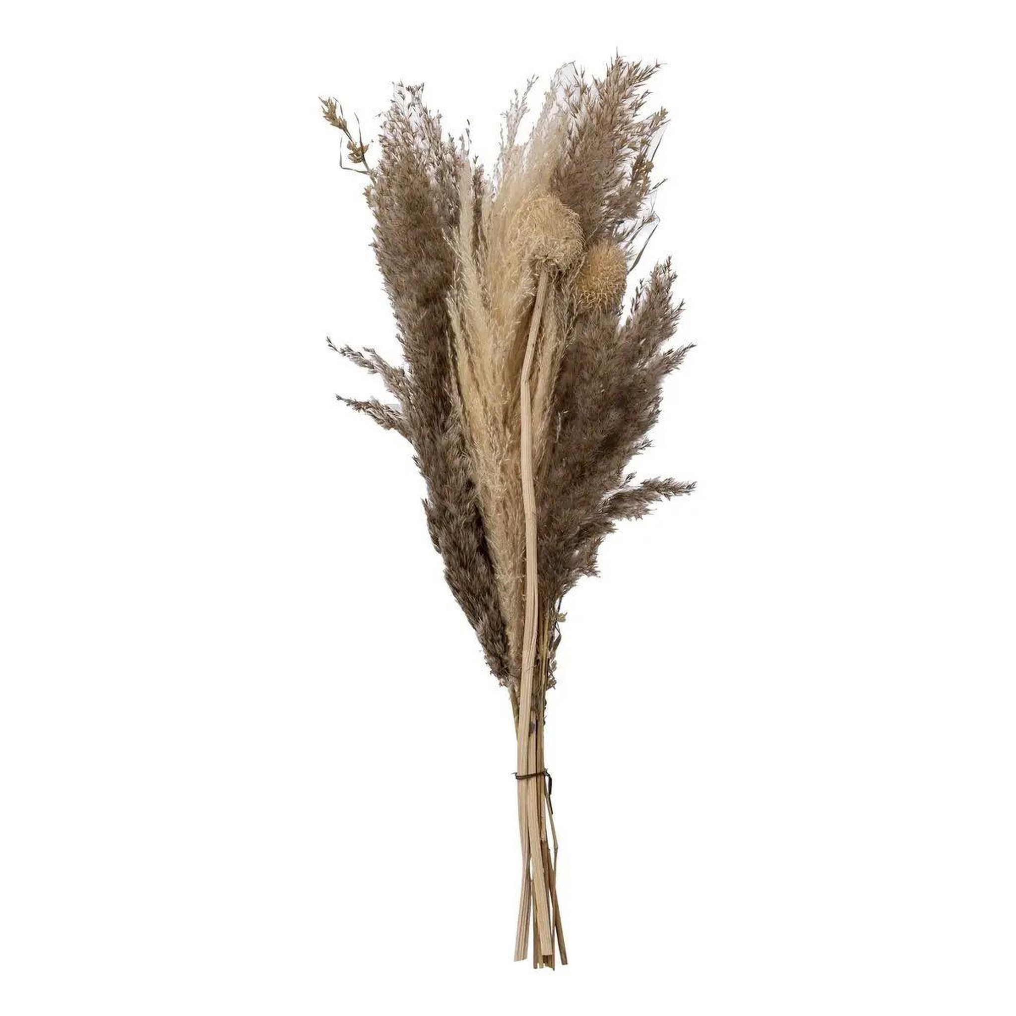 Voir la diapositive 1 : ATMOSPHERA Bouquet de fleurs séchées  pampa  58cm naturel
