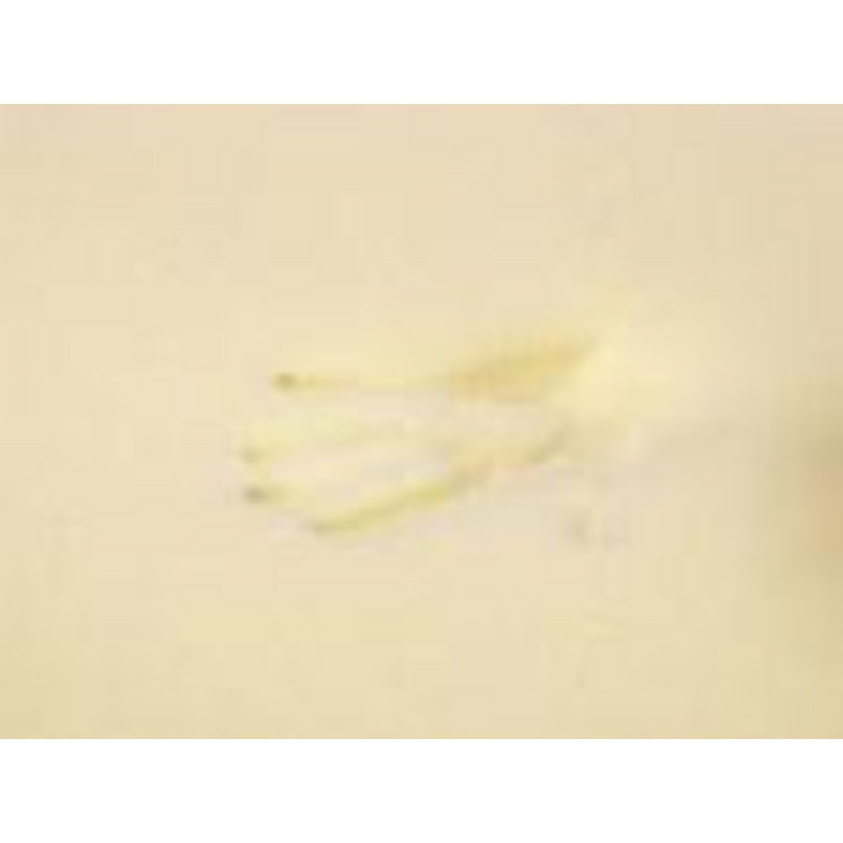 Surmatelas Mémoire de forme  Haute Densité 140x190 cm