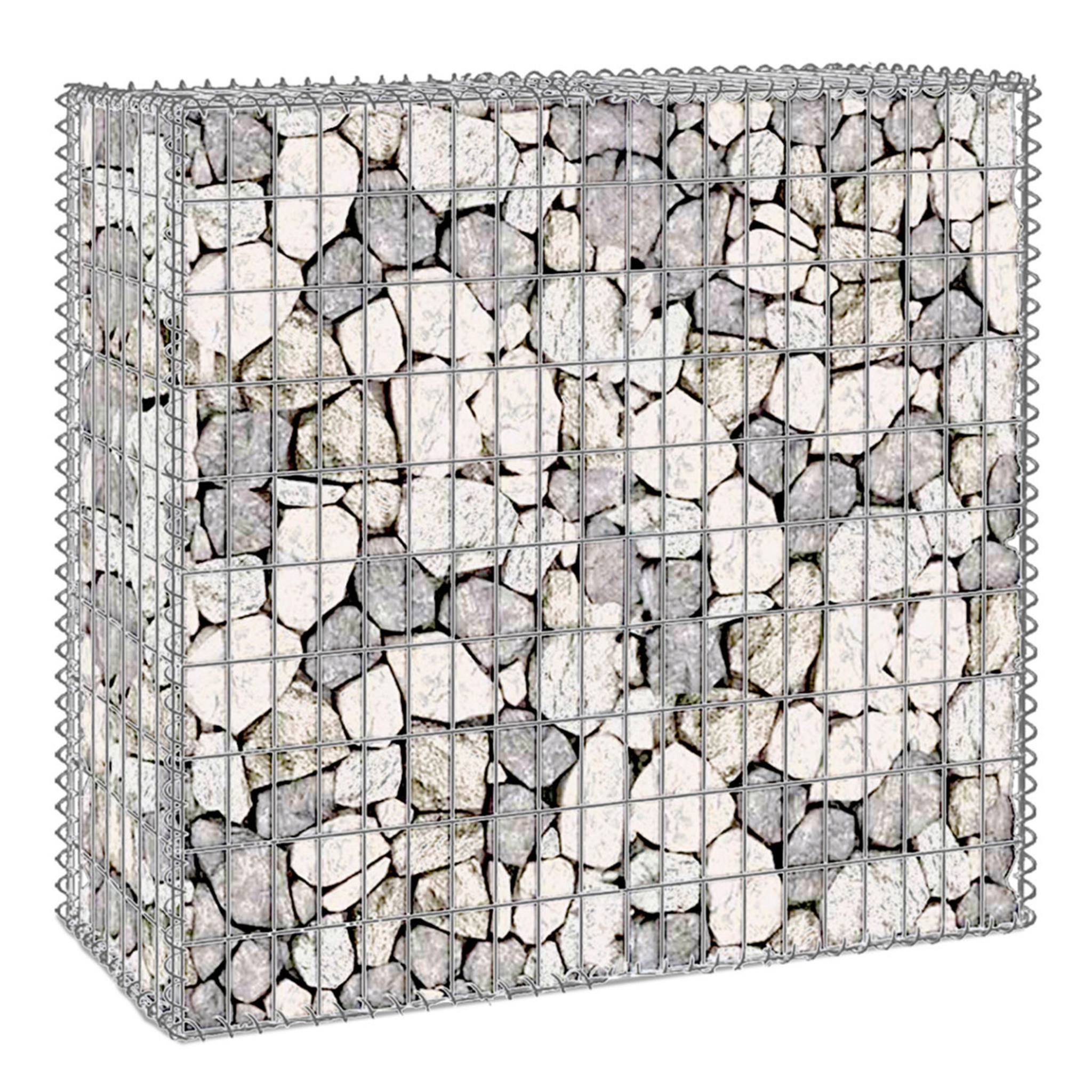 ID MARKET Lot de 2 gabions pour pierre 100 x 30 x 80 cm