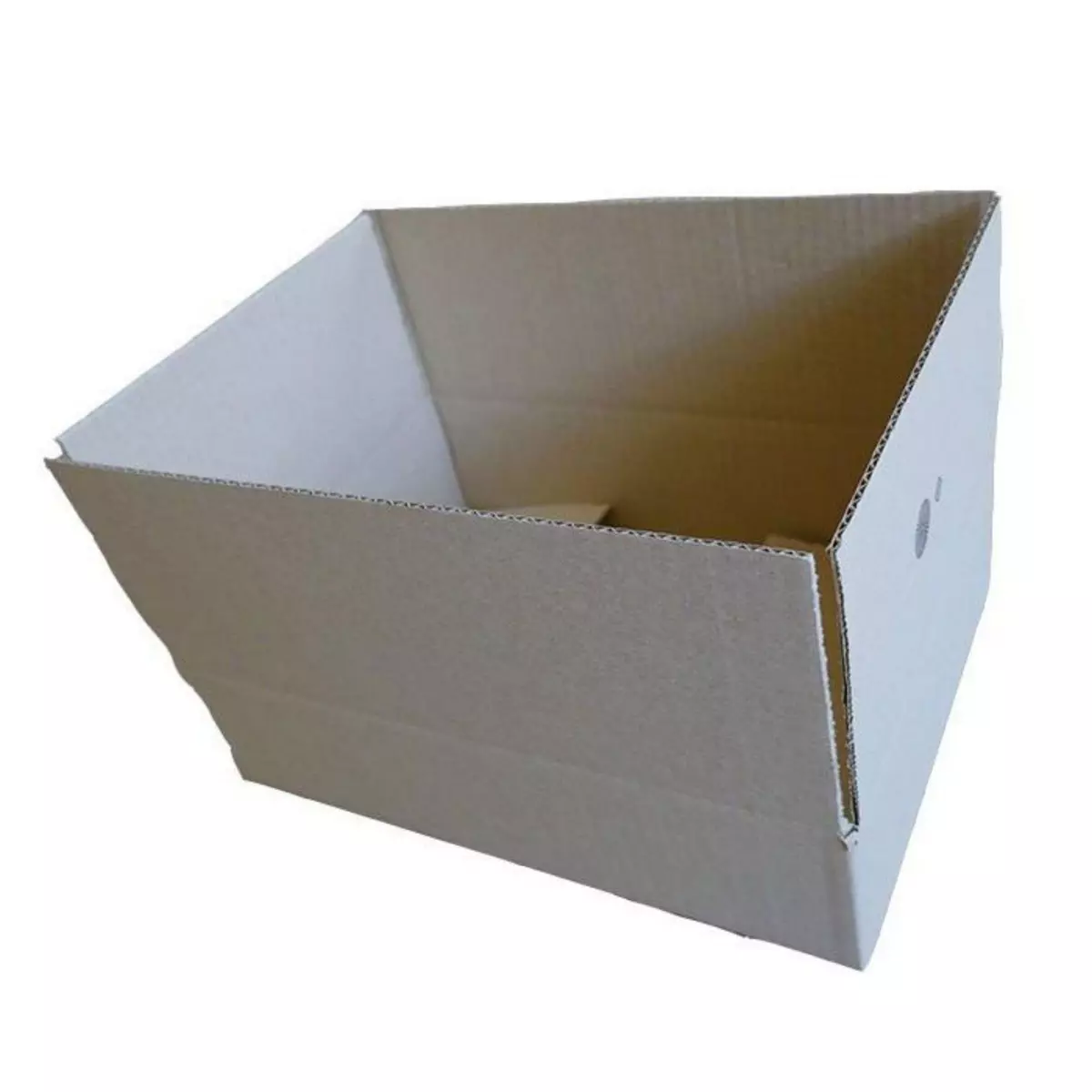 RAJA 10 cartons d'emballage 31 x 21 x 7,5 cm