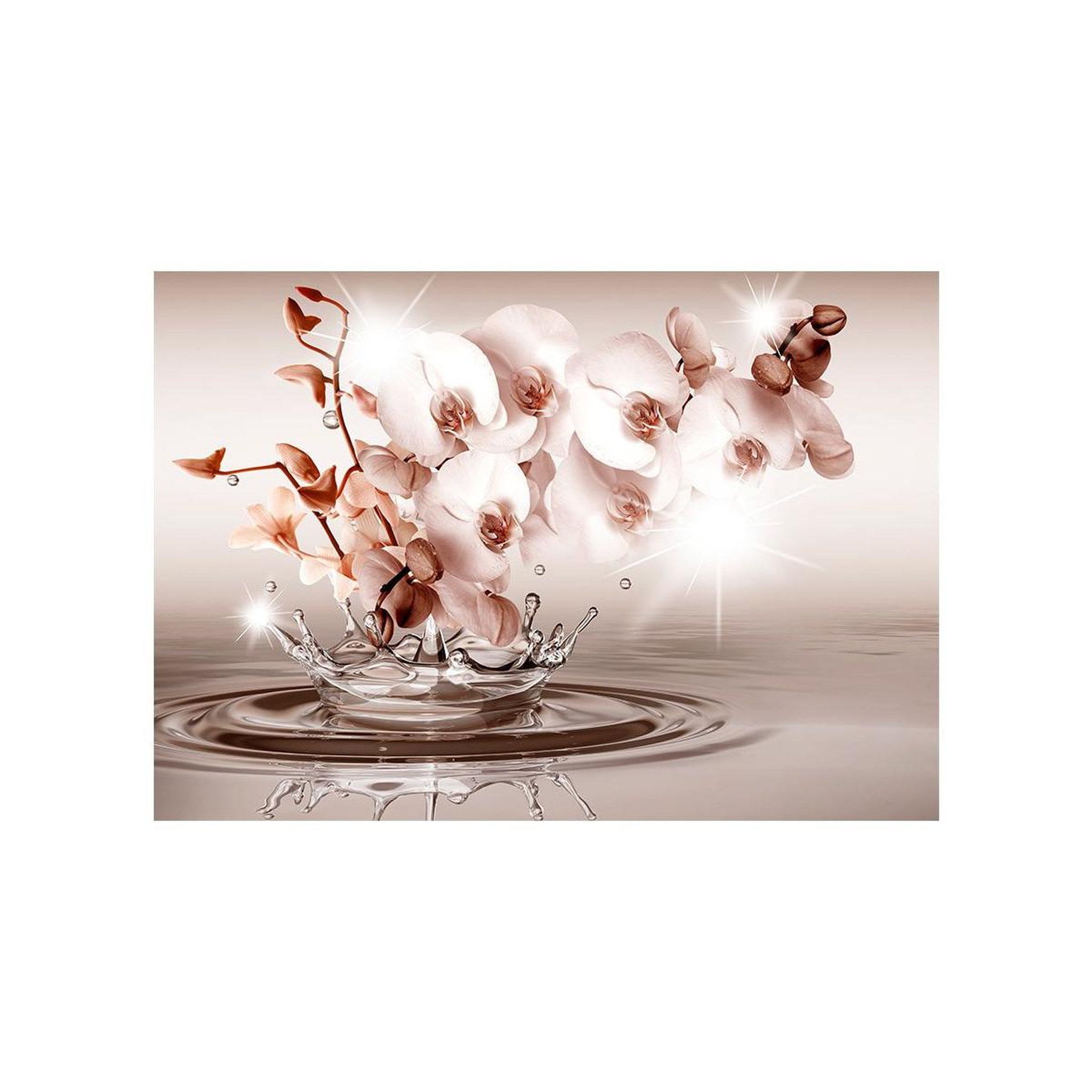 Voir la diapositive 2 : Paris Prix Papier Peint  Touch of Tenderness