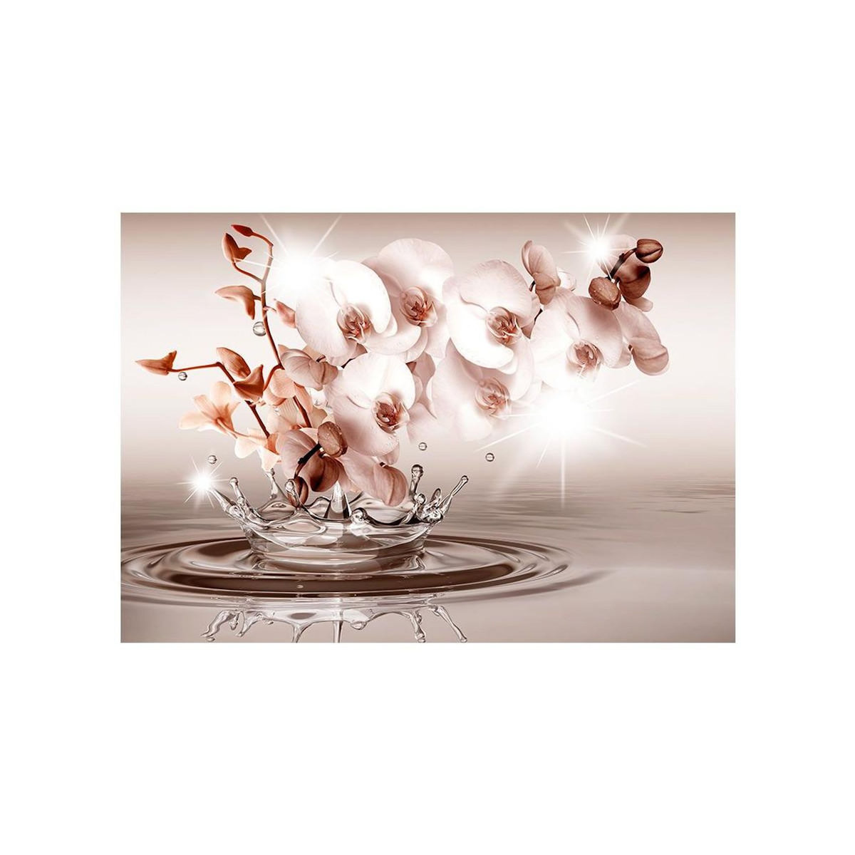 Paris Prix Papier Peint  Touch of Tenderness