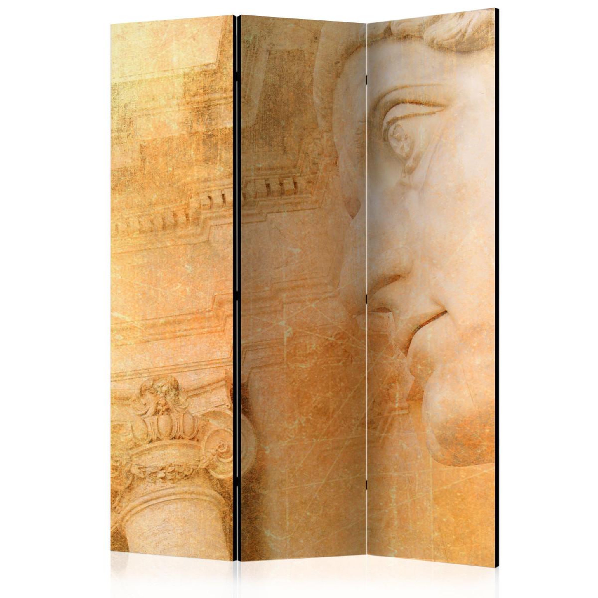 Paris Prix Paravent 3 volets  greek god  135x172cm