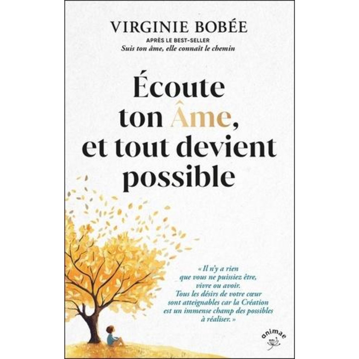 ECOUTE TON AME, ET TOUT DEVIENT POSSIBLE, Bobée Virginie