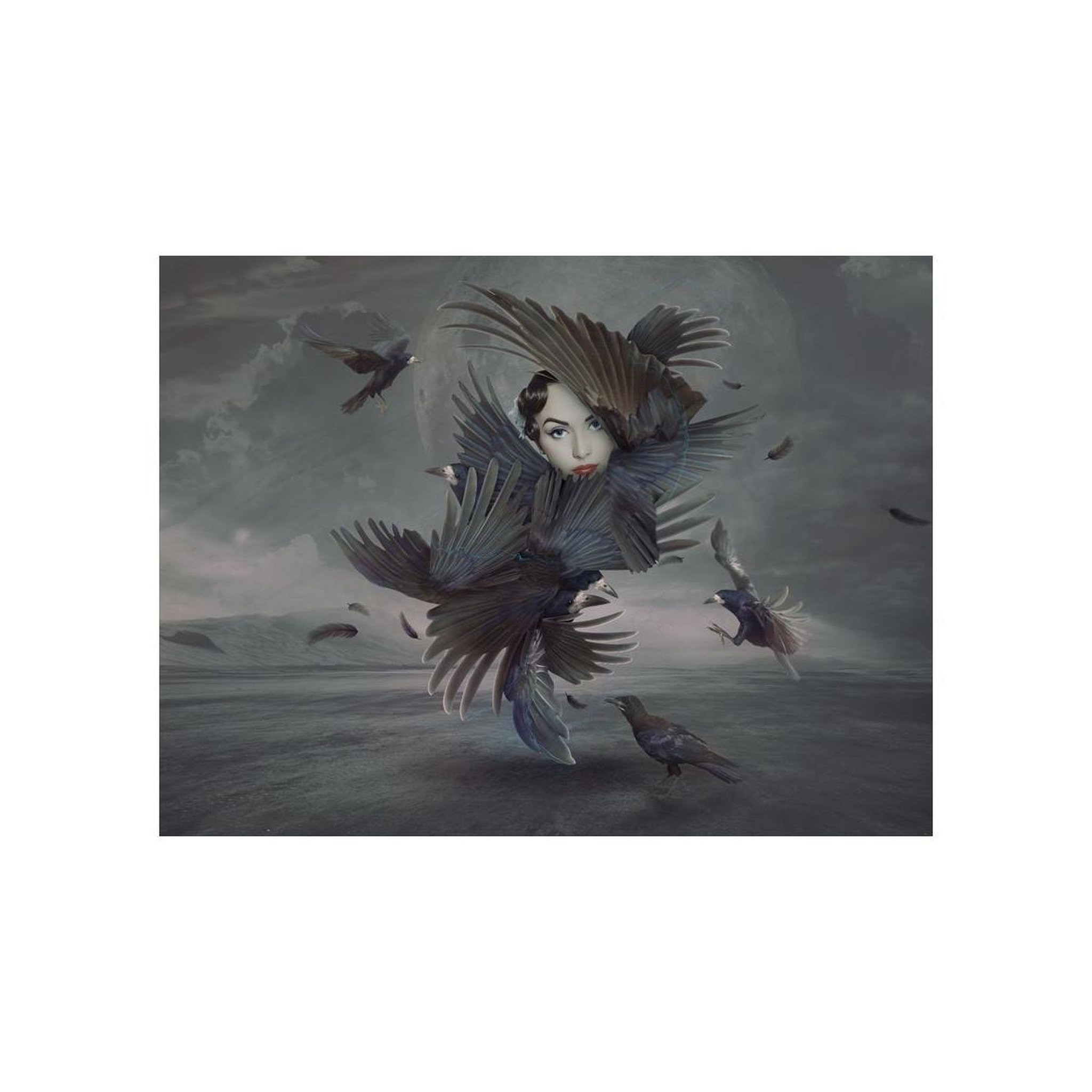 Voir la diapositive 2 : Paris Prix Papier Peint  Couverte de Plumes