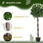Voir la diapositive 5 : OUTSUNNY Lauriers artificiels topiaires 1,20H m - lot de 2 lauriers boules artificiels - 741 feuilles réalistes par pied - tronc liane - pot inclus noir vert