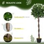 Voir la diapositive 5 : OUTSUNNY Lauriers artificiels topiaires 1,20H m - lot de 2 lauriers boules artificiels - 741 feuilles réalistes par pied - tronc liane - pot inclus noir vert
