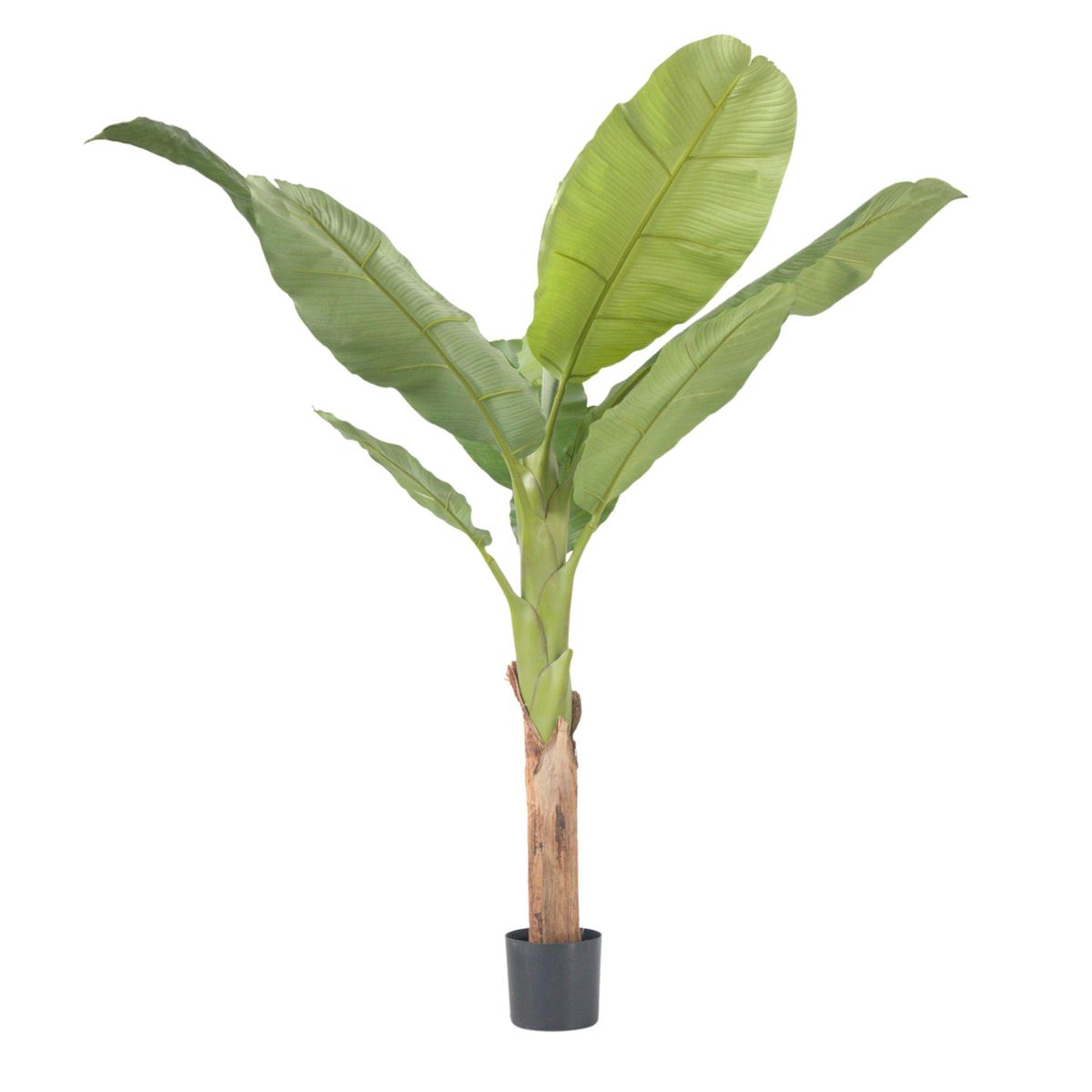 PLANT IN A BOX Bananier Musa artificiel - Hauteur 150cm