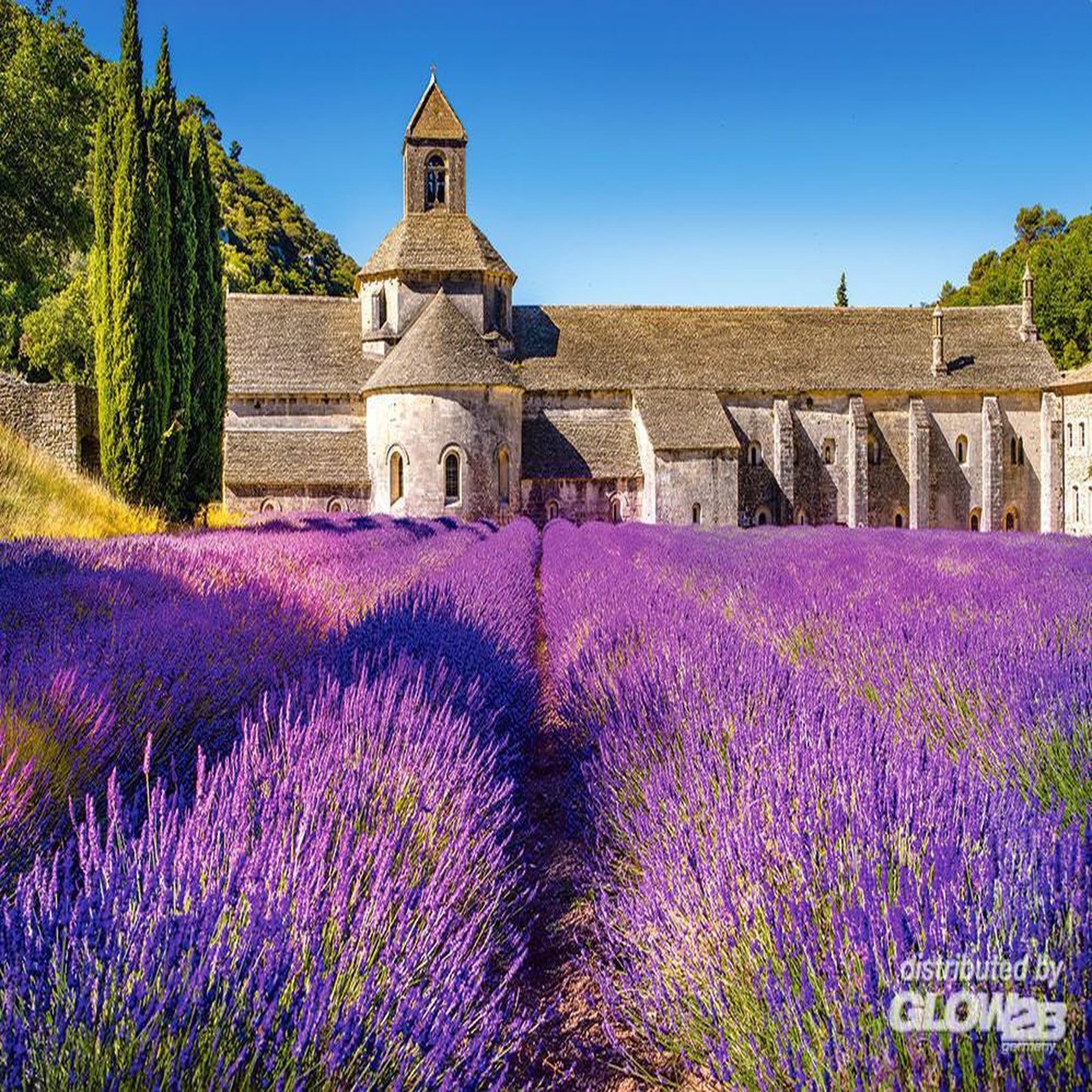 Voir la diapositive 4 : Castorland Puzzle 1000 pièces : Champ de lavande en provence, France