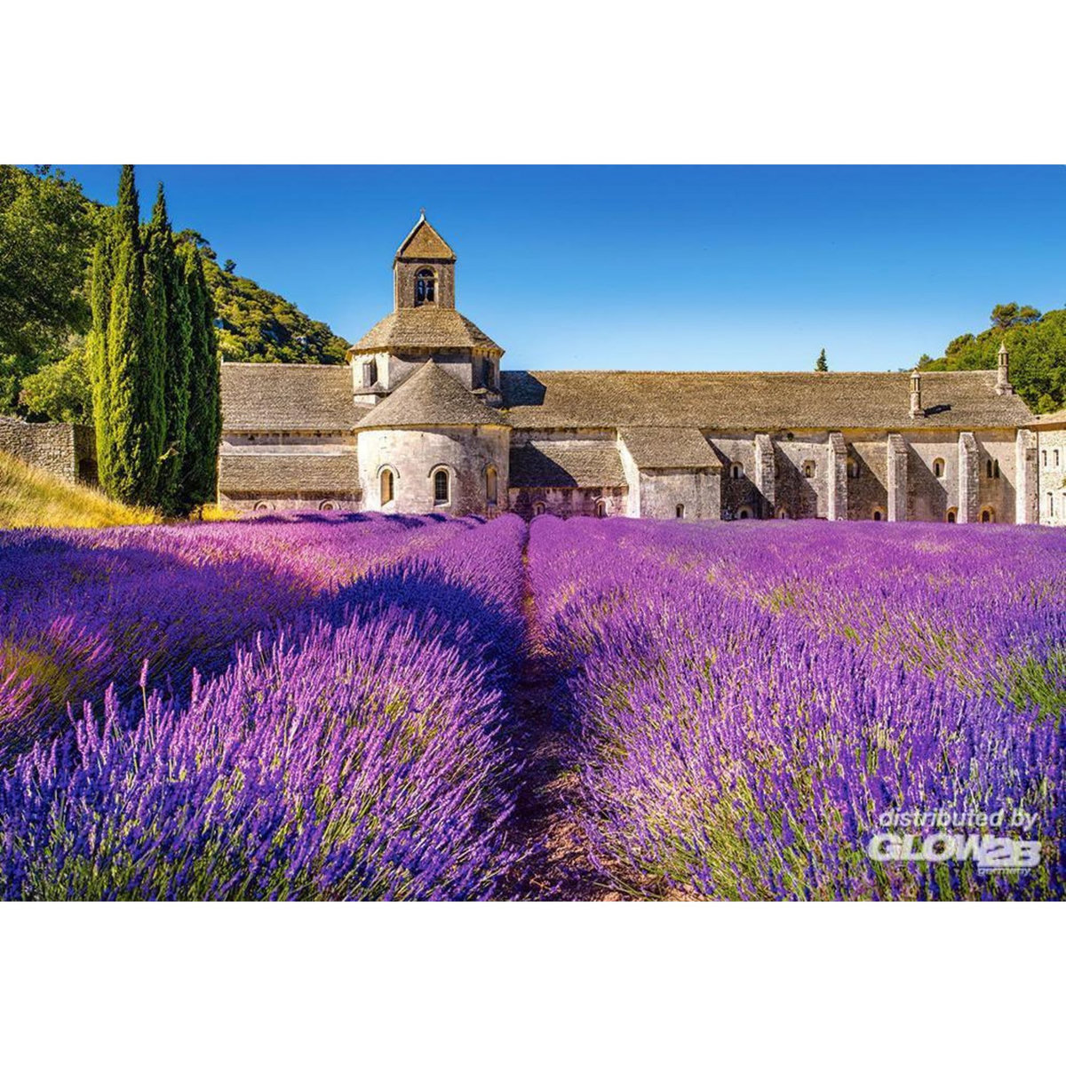 Castorland Puzzle 1000 pièces : Champ de lavande en provence, France