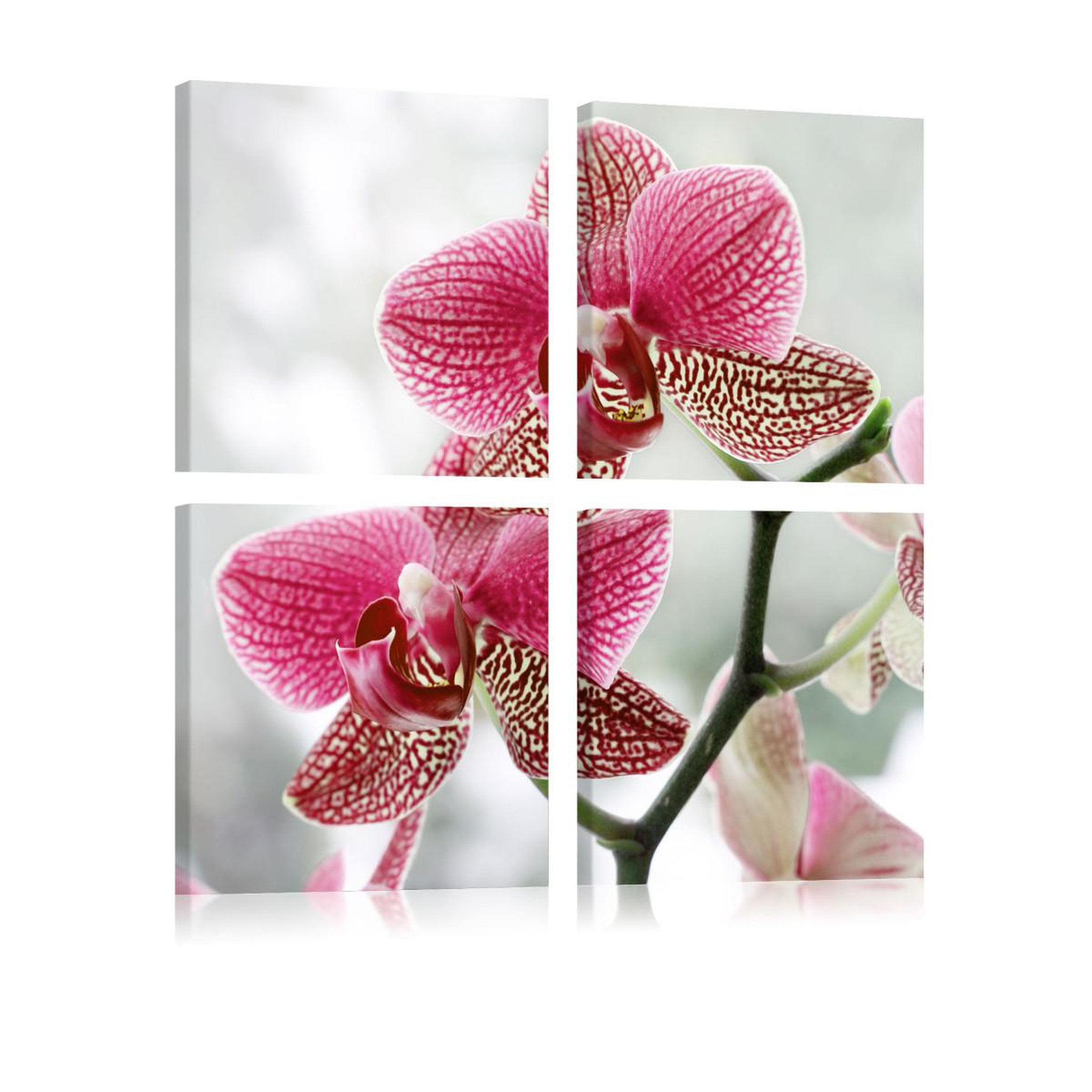 Voir la diapositive 1 : Paris Prix Tableau imprimé  orchidée de fantaisie