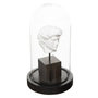 Voir la diapositive 1 : ATMOSPHERA Cloche à Poser Déco  Sublima  21cm Noir & Blanc
