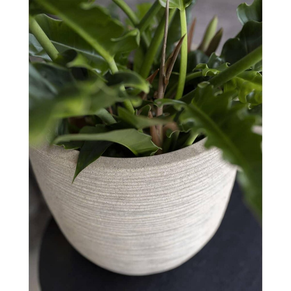 CAPI Capi Pot a fleurs Waste Rib 35x34 cm Beige terrazzo