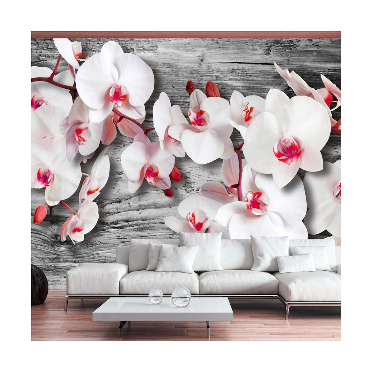 Paris Prix Papier Peint  Callous Orchids