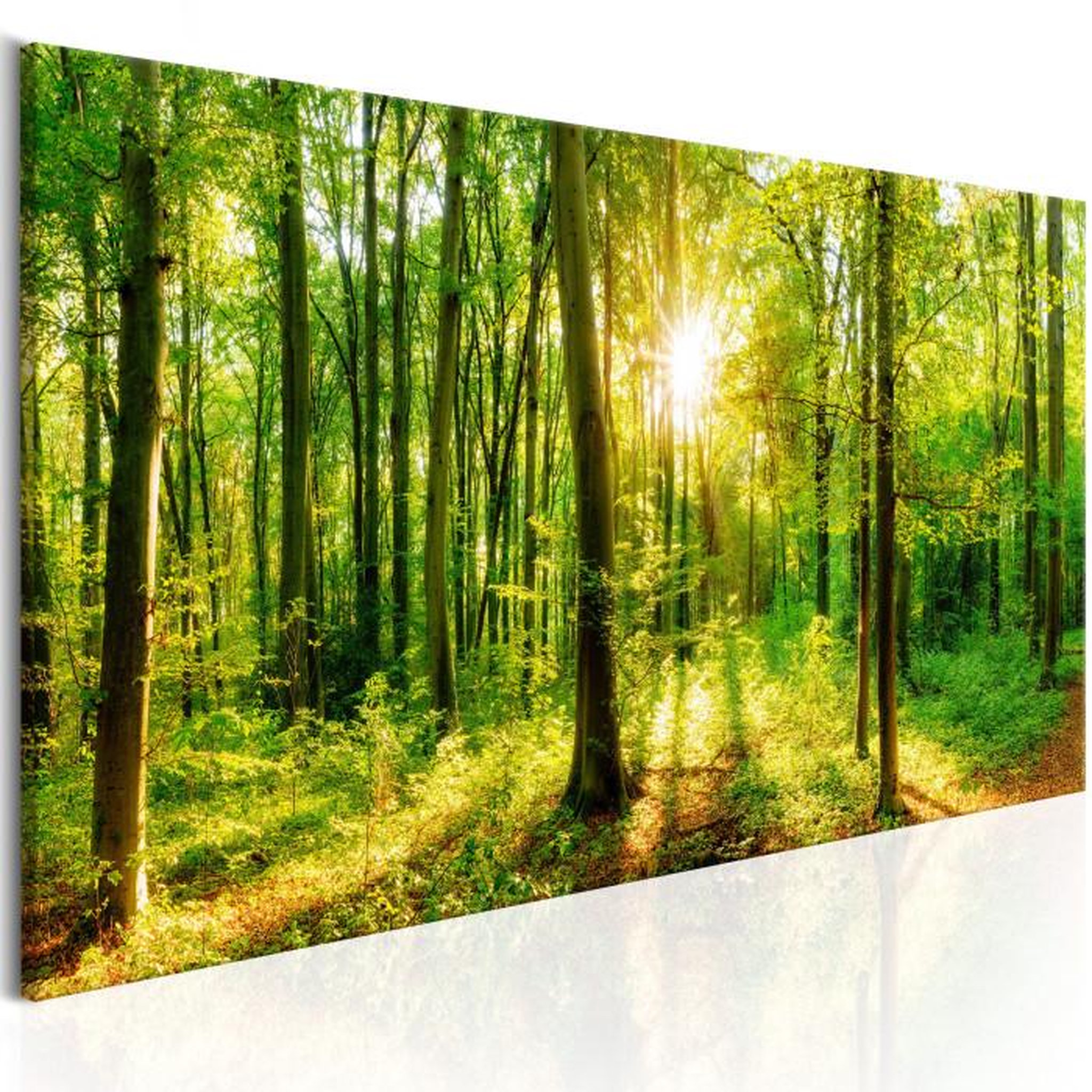 Paris Prix Tableau Imprimé  Green Magic. Coloris disponibles : Multicolore
