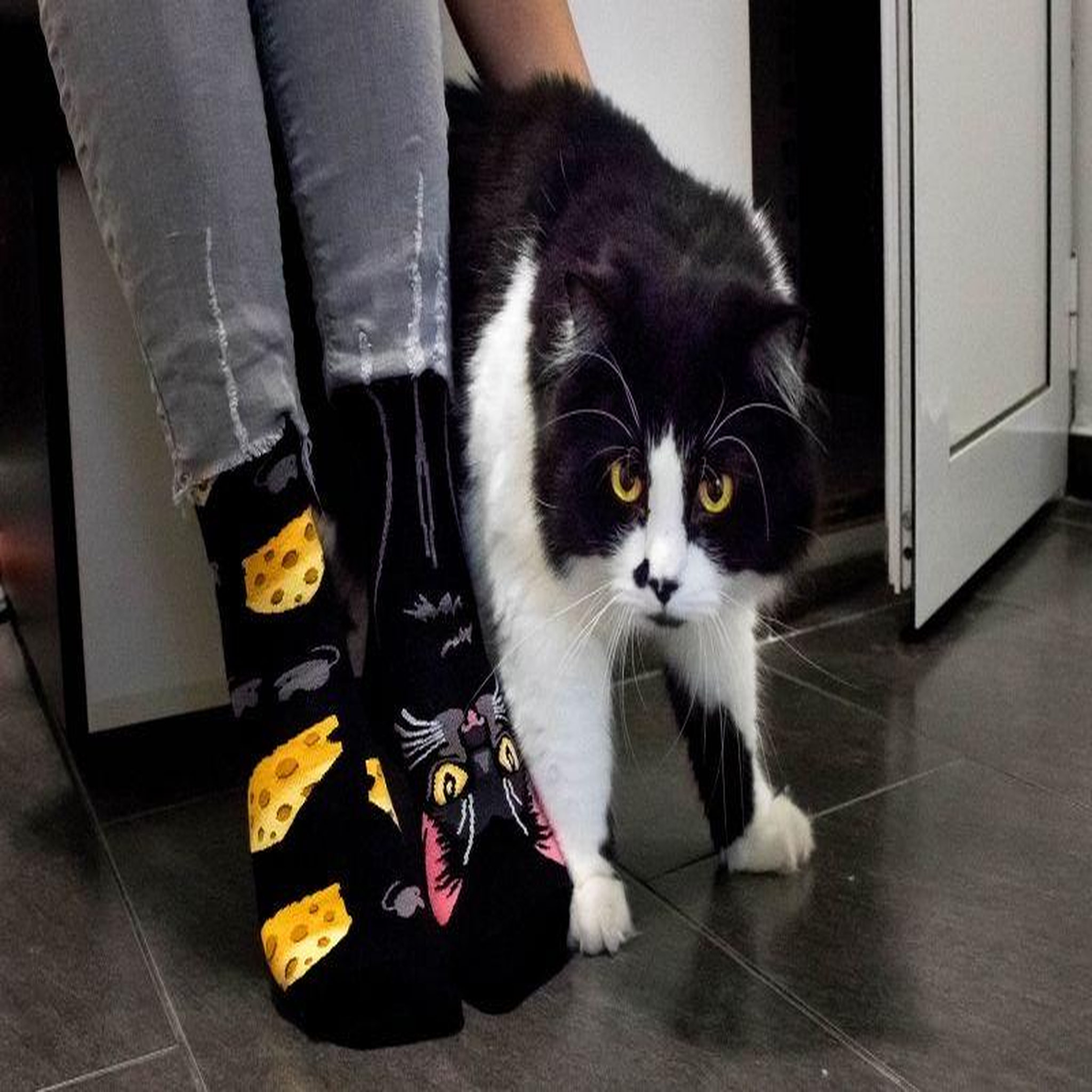 Voir la diapositive 4 : PIRIN HILL Chaussettes arty chanceux le chat