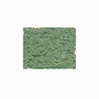  Pigment pour création de peinture - pot 120 g - Terre verte