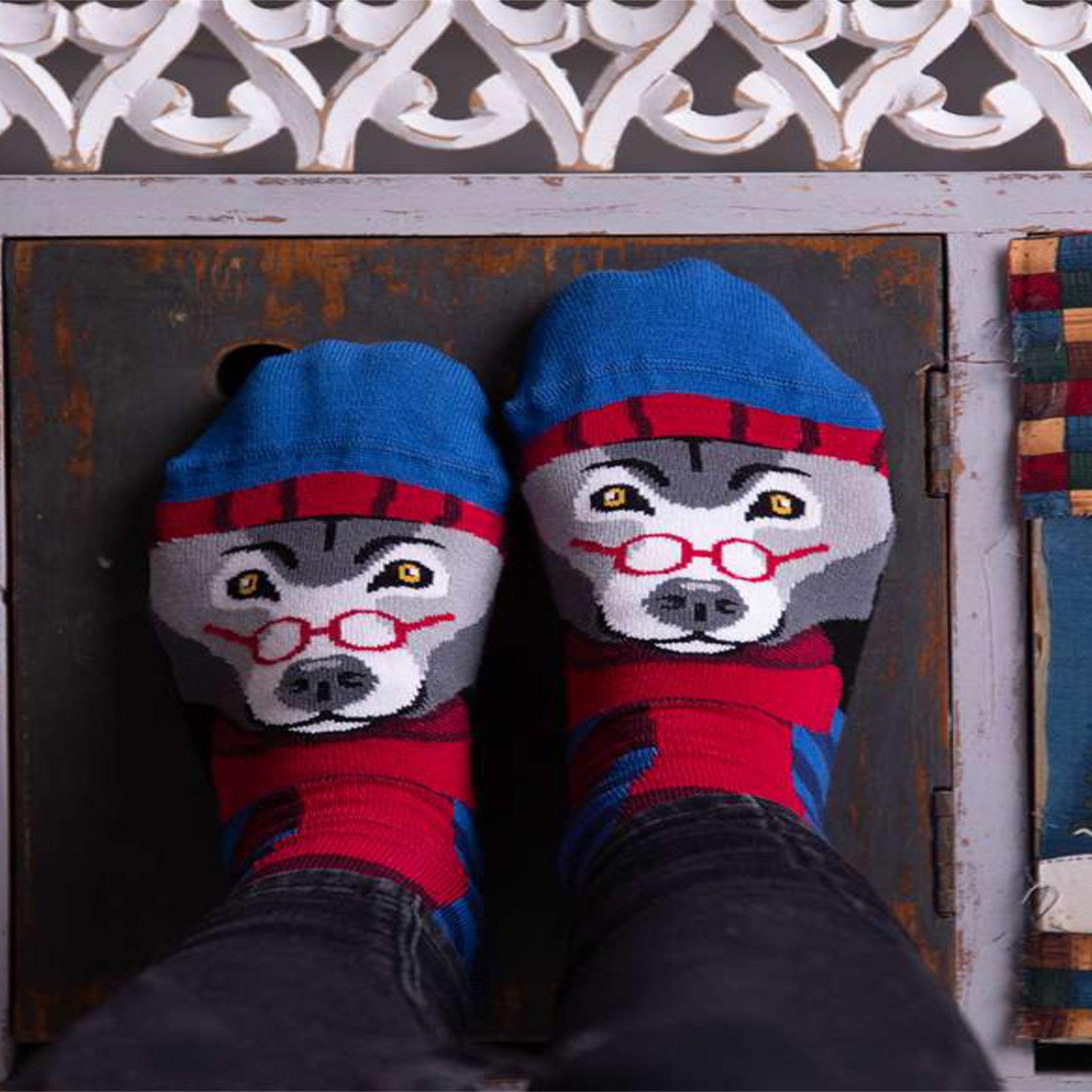 Voir la diapositive 3 : PIRIN HILL Chaussettes en bambou loup