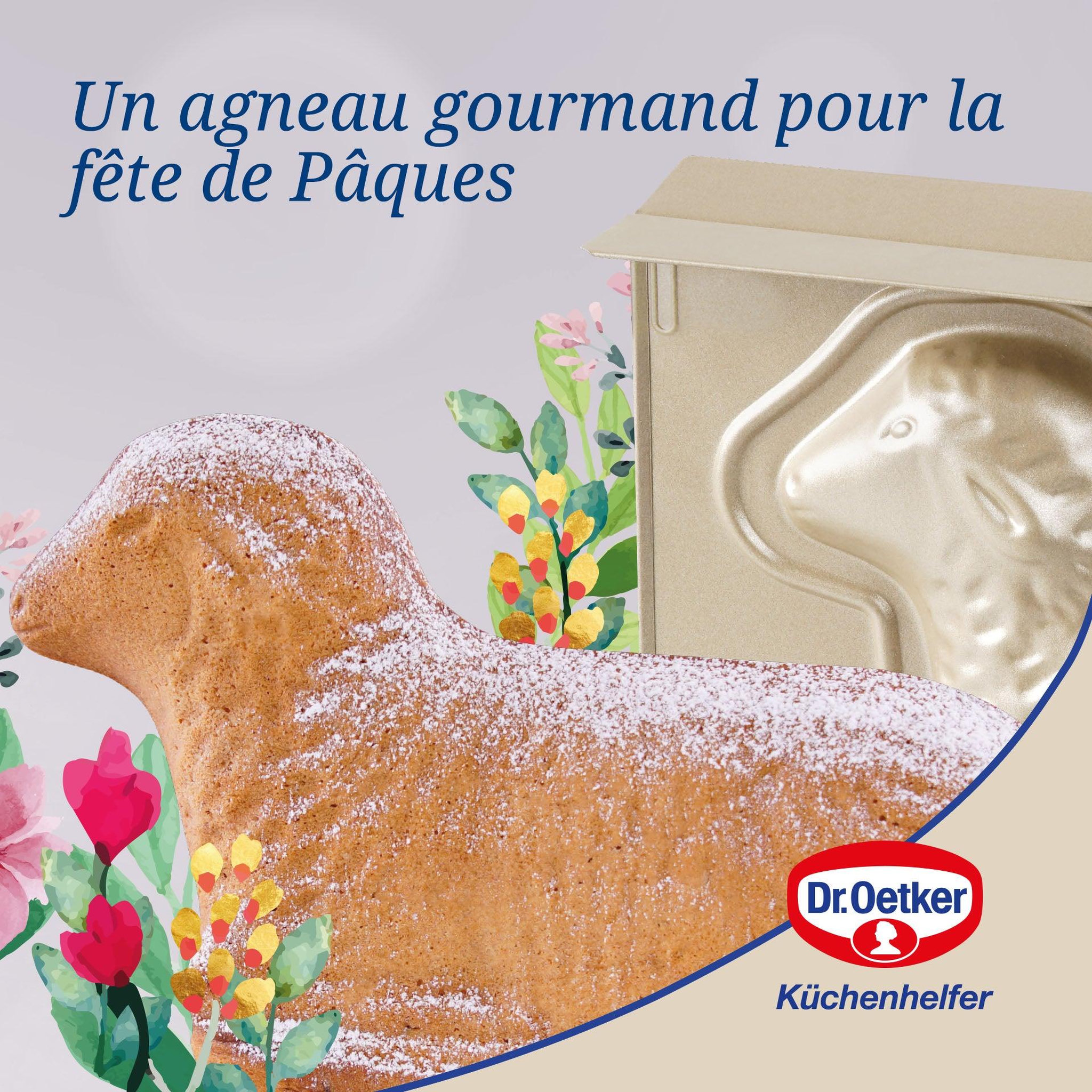 Voir la diapositive 5 : DR.OETKER Moule à gâteaux agneau pascal dr. Oetker baker edition