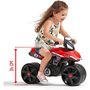 Voir la diapositive 3 : Falk / Falquet Porteur Moto Falk Racing Team - Rouge