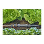 Voir la diapositive 3 : Gardena Centrale d'irrigation 1000 - Quick & Easy