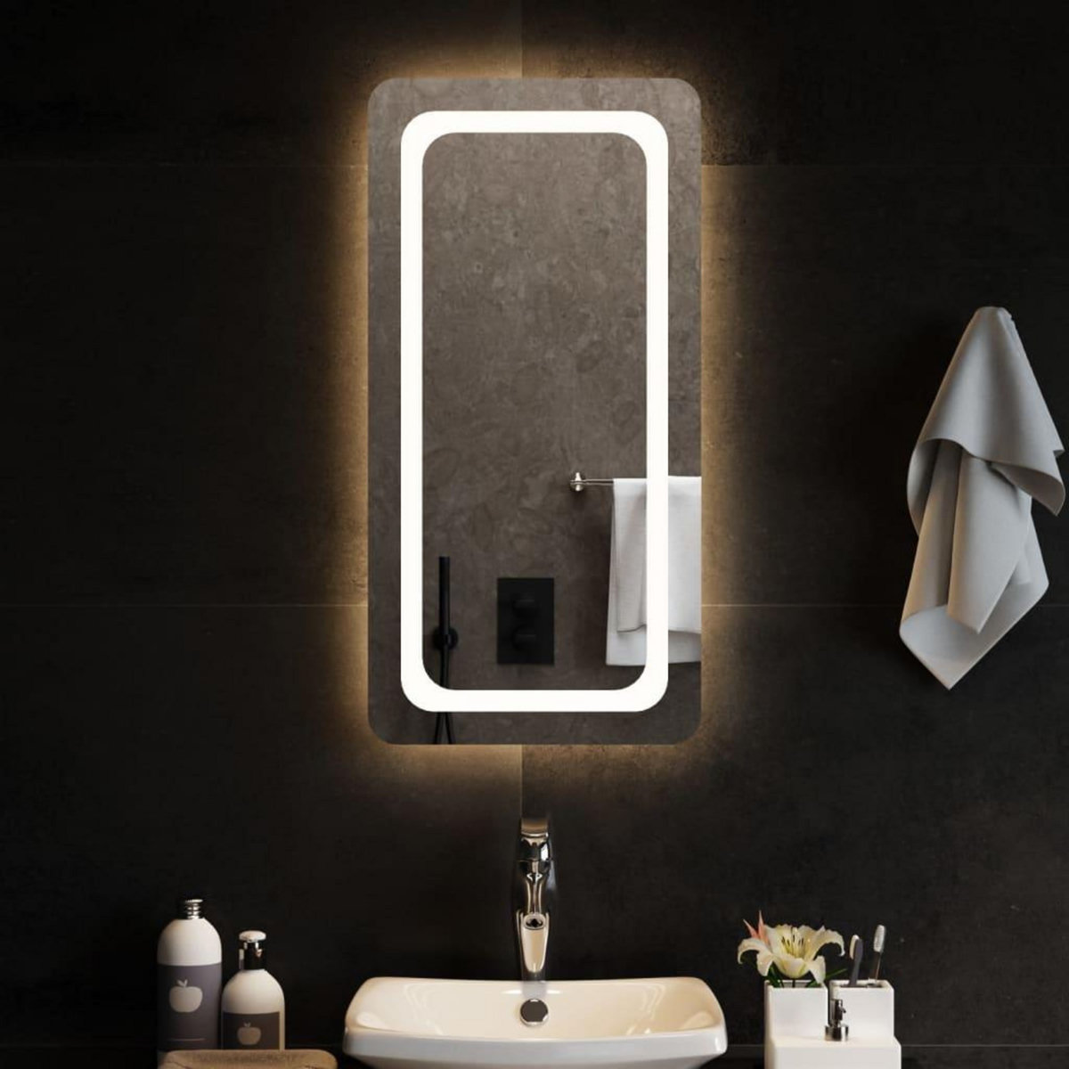 VIDAXL Miroir de salle de bain a LED 40x80 cm