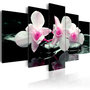 Voir la diapositive 1 : Paris Prix Tableau Imprimé  Rest of Orchids