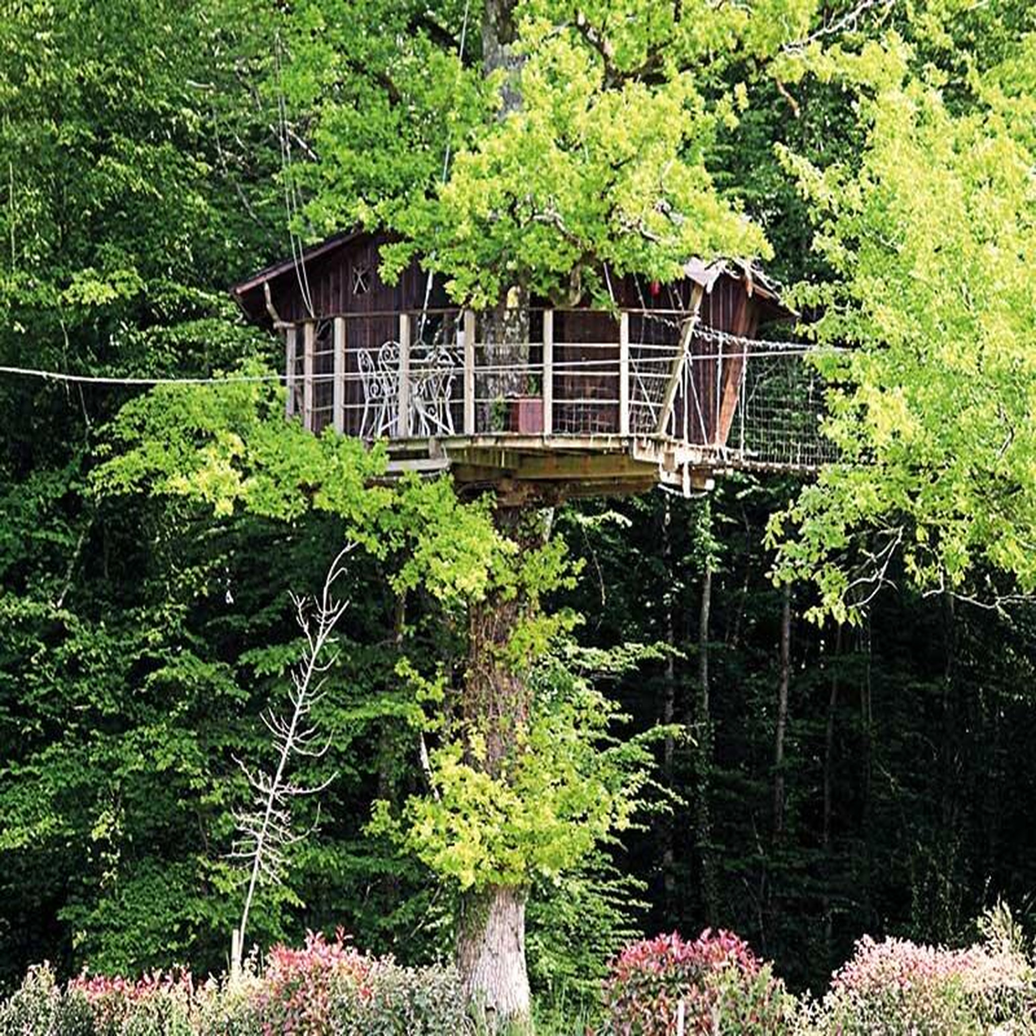 Voir la diapositive 5 : Smartbox Séjour insolite en famille : 3 jours dans les arbres avec chasse au trésor près de poitiers - coffret cadeau séjour