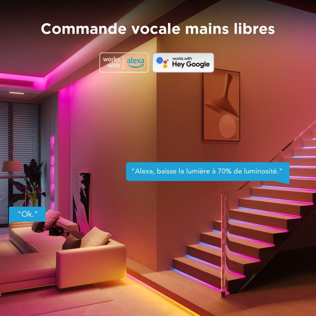 GOVEE Bandeau LED LED STRIP LIGHT RGBIC WIFI+BT - 5M