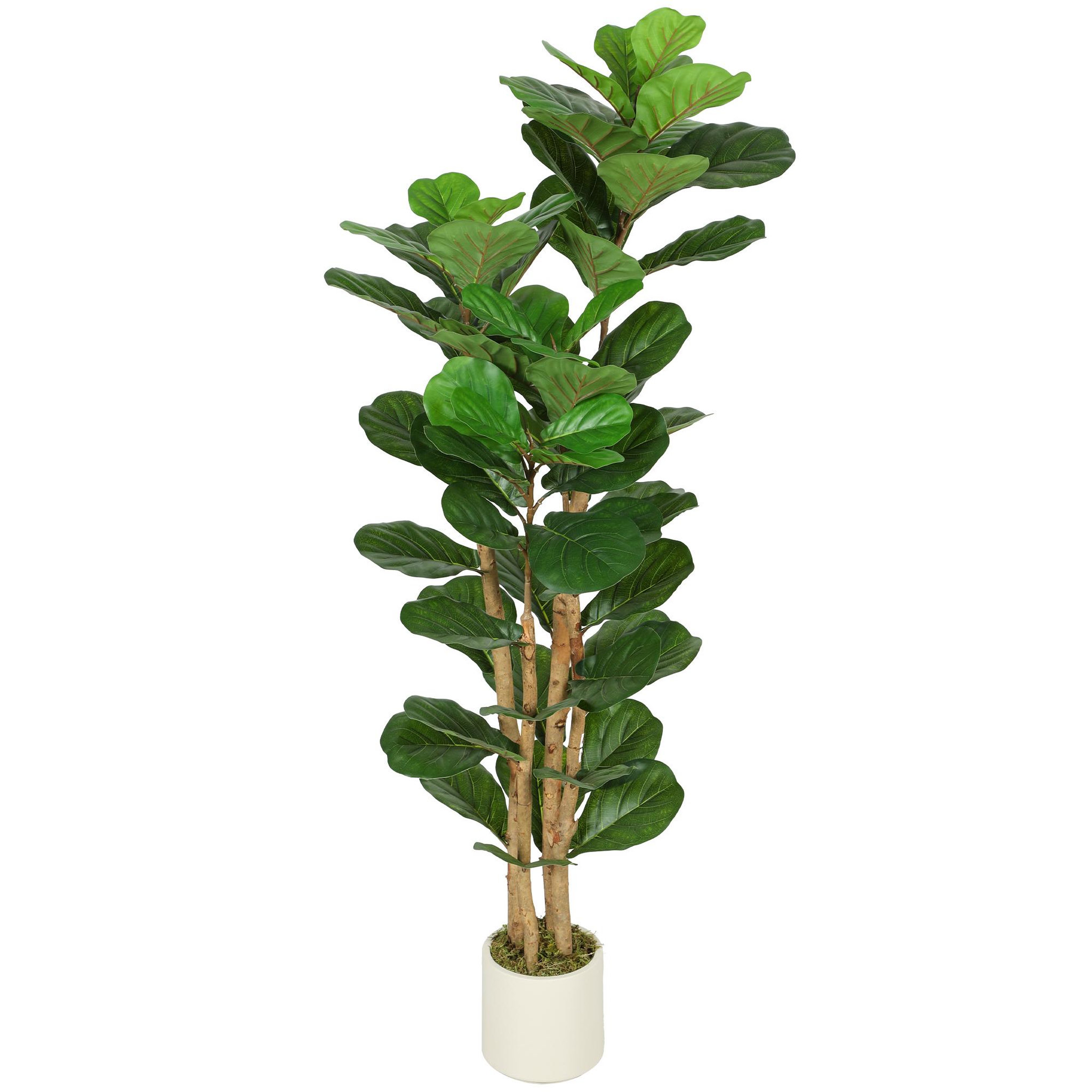 Voir la diapositive 5 : HOMCOM Arbre artificiel plante artificiel figuier lyre H.1,5 m vrais troncs 71 feuilles grand réalisme