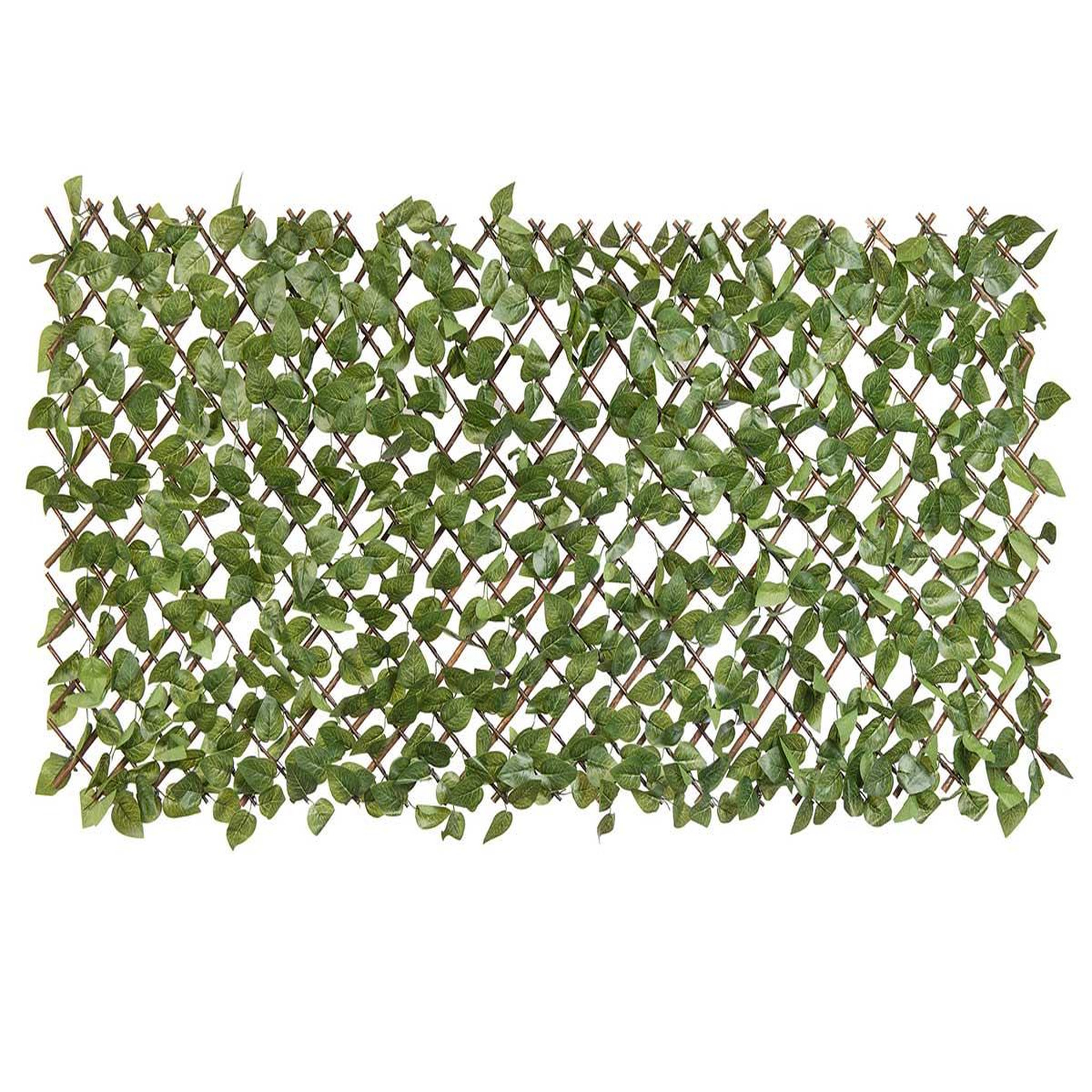 NATURE Treillis extensible en osier avec feuillage pe laurier palme 180 x 90 cm - nature