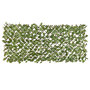 Voir la diapositive 1 : NATURE Treillis extensible en osier avec feuillage PE Laurier palme 180 x 90 cm - Nature