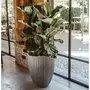 CAPI Capi Pot a fleurs Urban Tube bas elegant 55x73 cm Gris fonce
