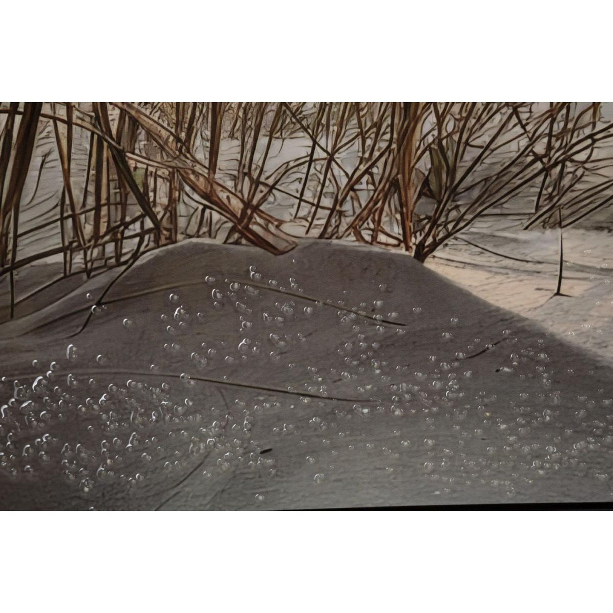 Voir la diapositive 5 : Paris Prix Tableau imprimé  beach i  152x52cm multicolore