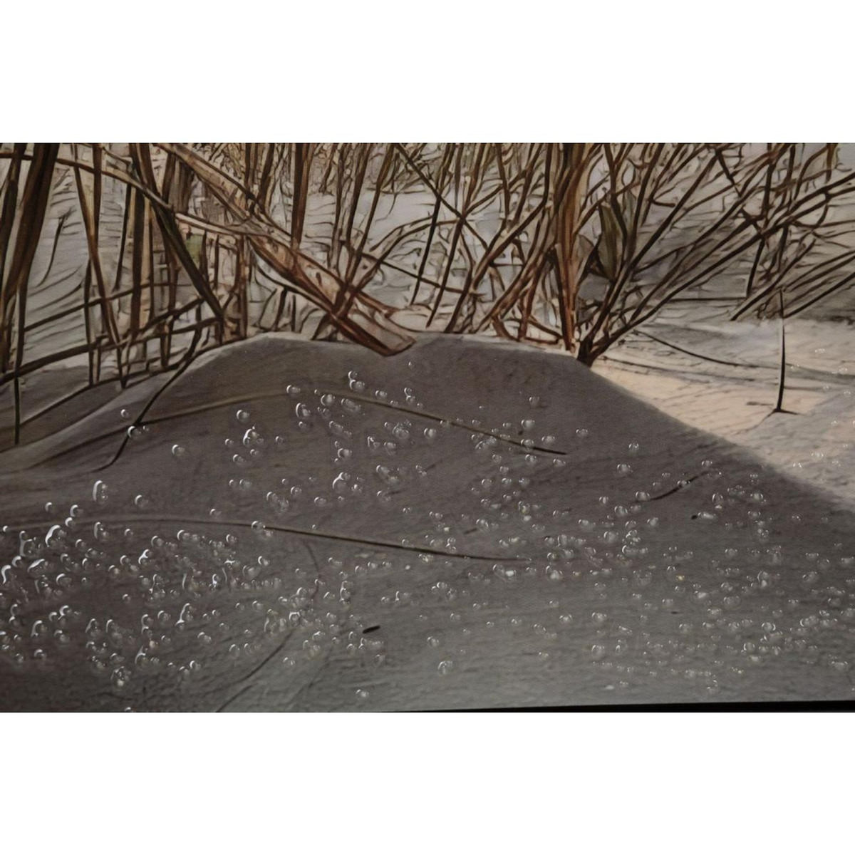 Paris Prix Tableau Imprimé  Beach I  152x52cm Multicolore